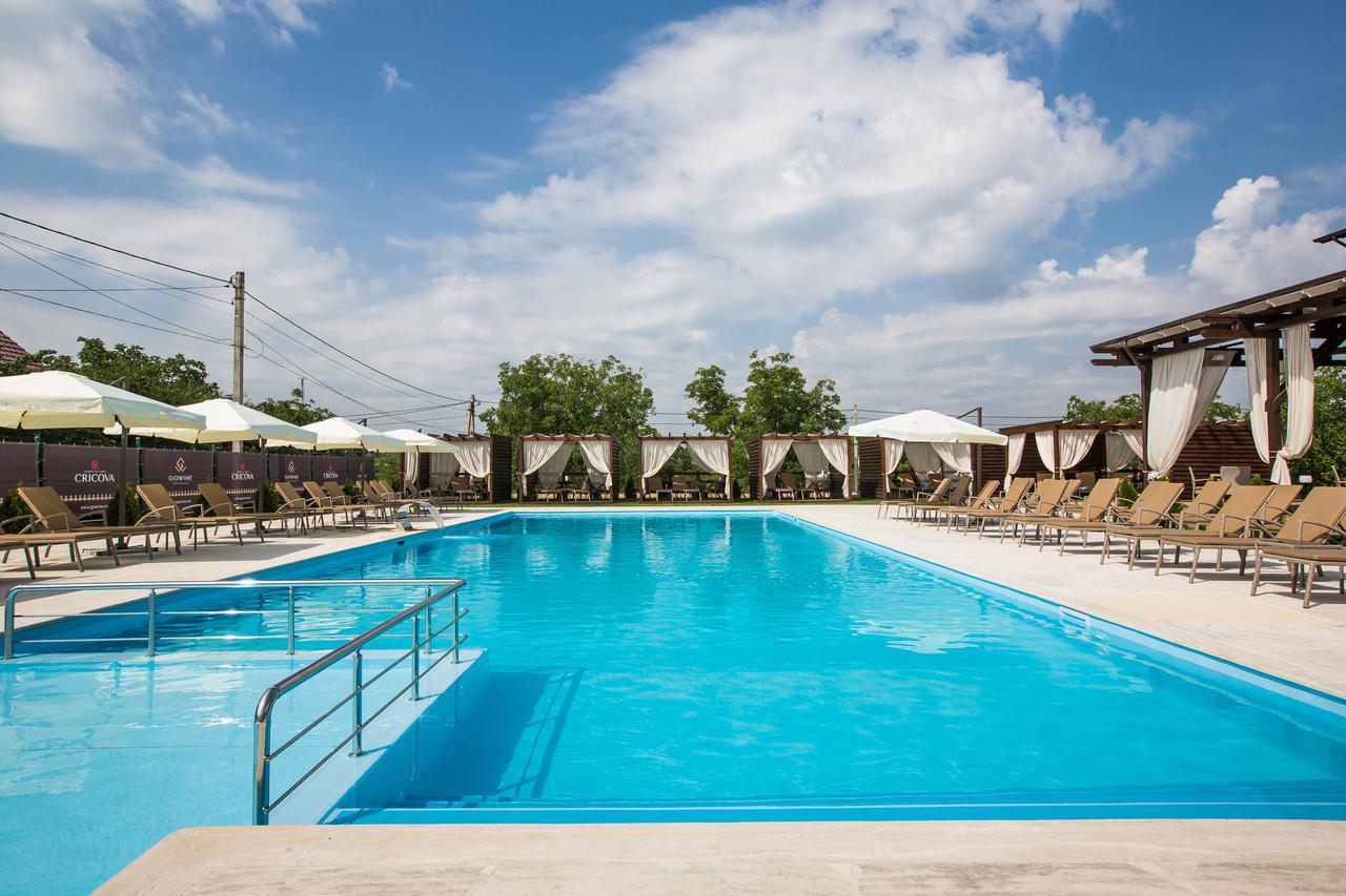 Giowine Hotel & Restaurant Cricova Екстер'єр фото